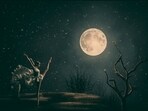 November 2024 new moon. ( Representational Image) November 2024 new moon. ( Representational Image)