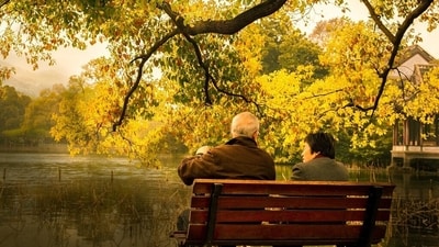 South Indian cities such as Chennai, Coimbatore and Bengaluru have emerged as the epicenter of the country's senior living boom, commanding almost 60% of the market share of the overall 20,000 housing units. (Representational photo) (Pixabay) South Indian cities such as Chennai, Coimbatore and Bengaluru have emerged as the epicenter of the country's senior living boom, commanding almost 60% of the market share of the overall 20,000 housing units. (Representational photo) (Pixabay)