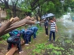 Cuddalore: Disaster response force personnel remove uprooted trees from a road amid rain after landfall of Cyclone Fengal, in Cuddalore, Tamil Nadu on Sunday.