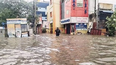 A man walks on a waterlogged road following a heavy rainfall triggered by Cyclone Fengal, in Chennai. (ANI) A man walks on a waterlogged road following a heavy rainfall triggered by Cyclone Fengal, in Chennai. (ANI)