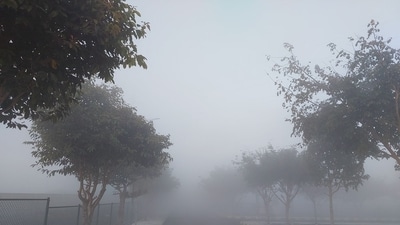 As per IMD forecasts, Bengaluru is likely to see chilly days in the month of December. (@arbindtiwariT/Twitter) As per IMD forecasts, Bengaluru is likely to see chilly days in the month of December. (@arbindtiwariT/Twitter)