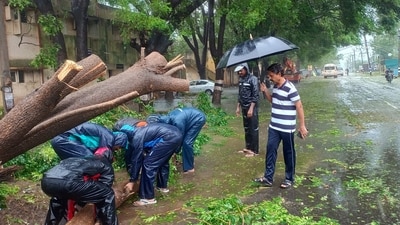 Cuddalore: Disaster response force personnel remove uprooted trees from a road amid rain after landfall of Cyclone Fengal, in Cuddalore, Tamil Nadu on Sunday. (PTI) Cuddalore: Disaster response force personnel remove uprooted trees from a road amid rain after landfall of Cyclone Fengal, in Cuddalore, Tamil Nadu on Sunday. (PTI)