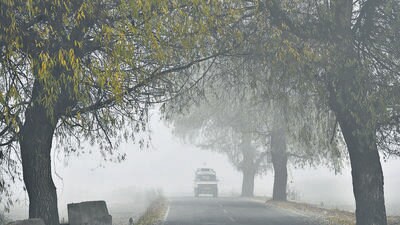 Vehicles drive through a cold and foggy morning in Srinagar. (Waseem Andrabi /HT) Vehicles drive through a cold and foggy morning in Srinagar. (Waseem Andrabi /HT)