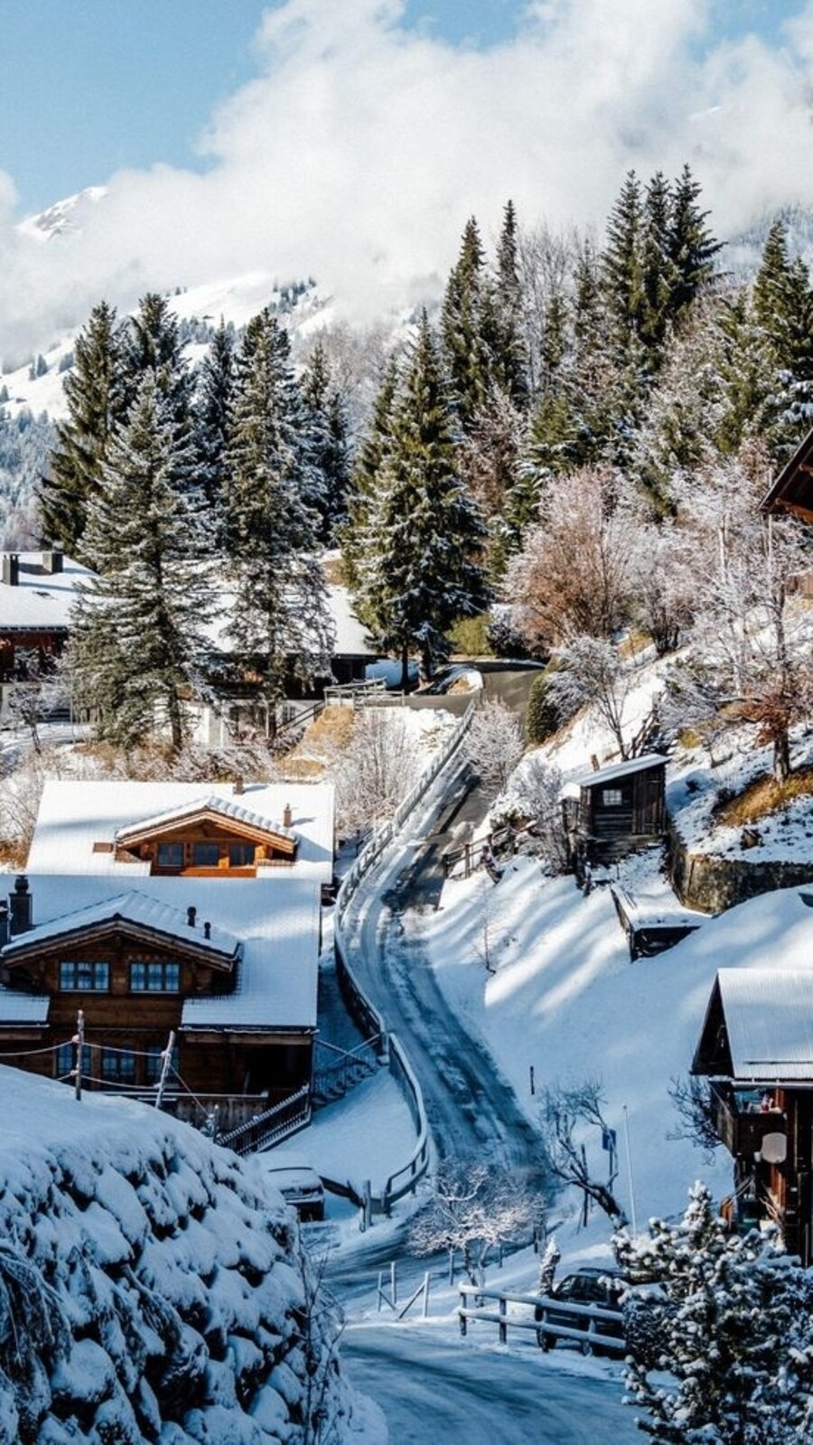 winter