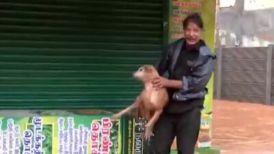 A viral video showed a man rescuing a dog trapped in floodwaters during Cyclone Fengal. (X/@ANI) A viral video showed a man rescuing a dog trapped in floodwaters during Cyclone Fengal. (X/@ANI)