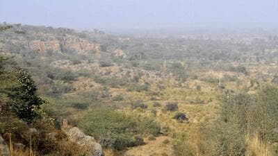 The Haryana government on Monday gave a commitment to combat desertification of Aravalli mountain ranges in collaboration with other states under the Aravalli Green Wall Project (AGWP). (HT File)
