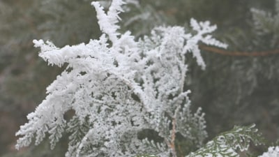Snowfall hit 46 inches in Barnes Corner and Copenhagen, New York (Unsplash) Snowfall hit 46 inches in Barnes Corner and Copenhagen, New York (Unsplash)
