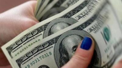 A woman counts US dollar bills. (Reuters Photo)