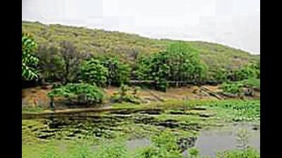 Any illegal construction or mining in the Aravalli range must be stopped with strong action, not just fines, Gurugram district administration officials pointed out. (Representational Image)