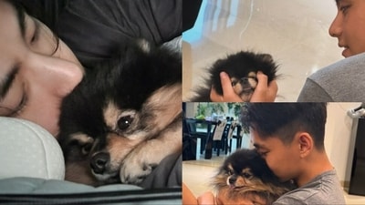 Kim Taehyung dedicated a post to his pet dog Yeontan. Kim Taehyung dedicated a post to his pet dog Yeontan.