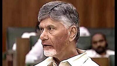 N Chandrababu Naidu (ANI) N Chandrababu Naidu (ANI)