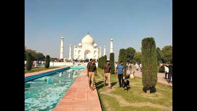 Security personnel searching for bomb on Taj Mahal premises after hoax call received. (Sourced)