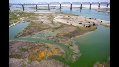 The Ganga river-bed, near Sangam in Prayagraj (File) The Ganga river-bed, near Sangam in Prayagraj (File)