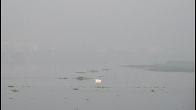 The most recent DSS update, from November 26 onwards, indicated that stubble burning contributed 5.84% to Delhi’s PM2.5 levels (Sunil Ghosh /HT PHOTO)