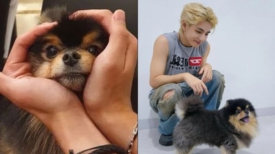 Yeontan and V Yeontan and V