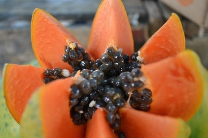 Papaya: Papaya acts as a natural laxative if you have it empty stomach in the morning. (Pixabay) Papaya: Papaya acts as a natural laxative if you have it empty stomach in the morning. (Pixabay)