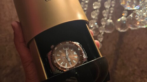 Unboxing the Citizen Promaster Fugu limited edition watch (Hindustan Times) Unboxing the Citizen Promaster Fugu limited edition watch (Hindustan Times)