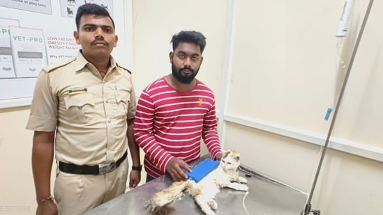 Bengaluru’s Micro Layout police immediately filed a case against the accused and treated the injured cat.