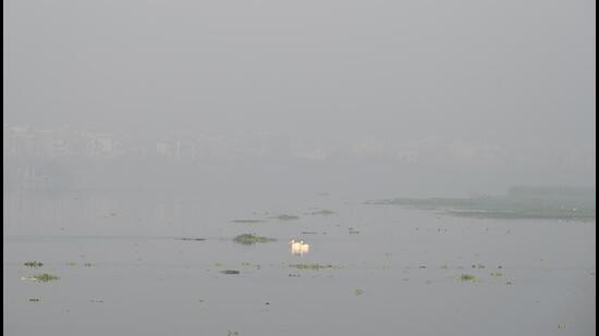 The most recent DSS update, from November 26 onwards, indicated that stubble burning contributed 5.84% to Delhi’s PM2.5 levels (Sunil Ghosh /HT PHOTO)