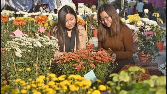 Visitors during the chrysanthemum show at Punjab Agricultural University in Ludhiana on Tuesday. (Gurpreet Singh/HT)