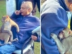 The image shows a monkey on Shashi Tharoor's lap. The image shows a monkey on Shashi Tharoor's lap.