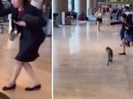A woman has turned into a social media hero after she was seen calmly escorting a monkey towards the exit at Singapore’s Changi airport. 