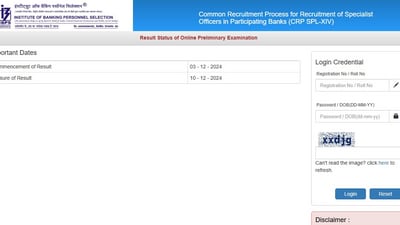 IBPS SO prelims results 2024: Download results from ibps.in via the direct link given here, IBPS SO prelims results 2024: Download results from ibps.in via the direct link given here,