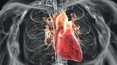18 expert-approved recovery tips after heart bypass surgery. (Photo by Shutterstock) 18 expert-approved recovery tips after heart bypass surgery. (Photo by Shutterstock)