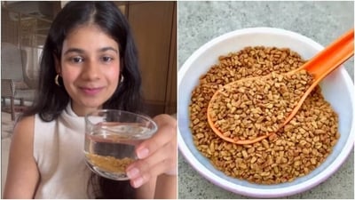 Know the health benefits of having soaked methi seeds in the morning. (Instagram/@fries.to.fit, unsplash) Know the health benefits of having soaked methi seeds in the morning. (Instagram/@fries.to.fit, unsplash)
