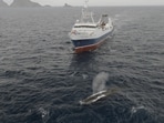 In this image from video provided by Sea Shepherd Global, the Norwegian Aker Biomarine's Antarctic Endeavour krill fishing ship sails near a whale in the Southern Ocean on March 6, 2023. In this image from video provided by Sea Shepherd Global, the Norwegian Aker Biomarine's Antarctic Endeavour krill fishing ship sails near a whale in the Southern Ocean on March 6, 2023.