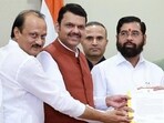 Mahayuti leaders Devendra Fadnavis, Eknath Shinde and Ajit Pawar. (ANI) Mahayuti leaders Devendra Fadnavis, Eknath Shinde and Ajit Pawar. (ANI)