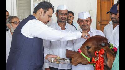 **EDS: IMAGE VIA @Dev_Fadnavis POSTED ON DEC. 5, 2024** BJP leader Devendra Fadnavis worships a cow before his swearing-in ceremony as the new chief minister of Maharashtra. (PTI Photo) (PTI12_05_2024_000091A) (PTI) **EDS: IMAGE VIA @Dev_Fadnavis POSTED ON DEC. 5, 2024** BJP leader Devendra Fadnavis worships a cow before his swearing-in ceremony as the new chief minister of Maharashtra. (PTI Photo) (PTI12_05_2024_000091A) (PTI)
