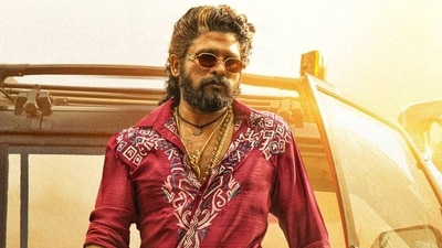 Allu Arjun in a still from Pushpa 2: The Rule. Allu Arjun in a still from Pushpa 2: The Rule.
