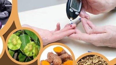 Diabetes decoded: 7 ancient Ayurvedic practices to regain control of your blood sugar levels (File Photo) Diabetes decoded: 7 ancient Ayurvedic practices to regain control of your blood sugar levels (File Photo)