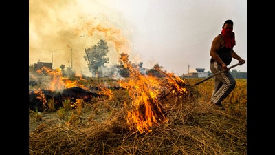 Farmers with less than two acres of land will now pay an environmental compensation of  ₹5,000, up from  ₹2,500, while those with land between two and five acres will be fined  ₹10,000 instead of  ₹5,000. (PTI)