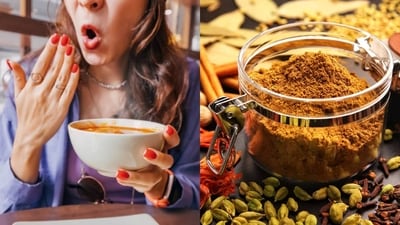 As garam masala ranks 2nd in the list of the world's top 10 spice blends, here's how to whip up your own batch! (Photos: iStock, Spice Eats) As garam masala ranks 2nd in the list of the world's top 10 spice blends, here's how to whip up your own batch! (Photos: iStock, Spice Eats)