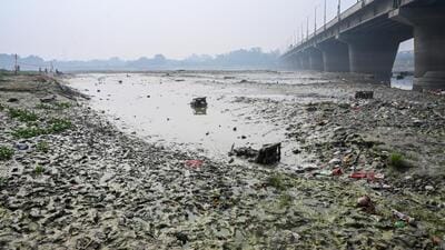 Garbage along the Yamuna. (Sunil Ghosh/HT Photo)