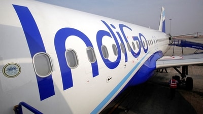 The side of an IndiGo Airlines A320 aircraft is pictured on the tarmac (Reuters)