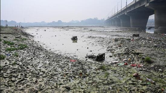 Garbage along the Yamuna. (Sunil Ghosh/HT Photo)