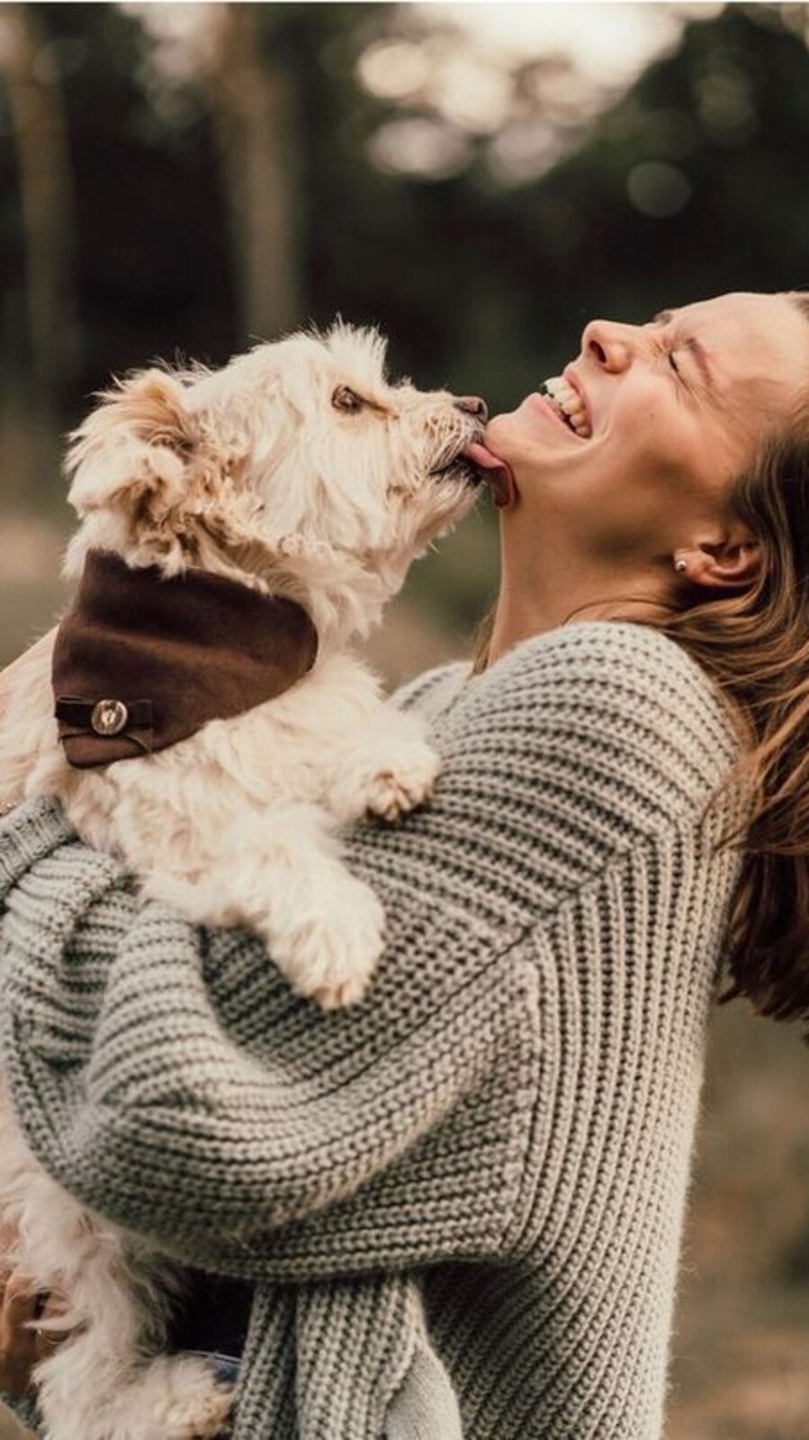 cute_puppy