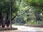 The Sanjay Gandhi National Park, Mumbai. (HT Photo) The Sanjay Gandhi National Park, Mumbai. (HT Photo)