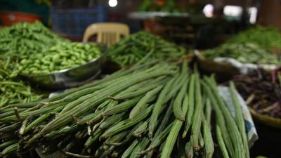 This price hike has led to drumsticks disappearing from popular dishes like sambhar, rasam, and curries in restaurants across Pune and other parts of the state. (MAHENDRA KOLHE/HT PHOTO) This price hike has led to drumsticks disappearing from popular dishes like sambhar, rasam, and curries in restaurants across Pune and other parts of the state. (MAHENDRA KOLHE/HT PHOTO)