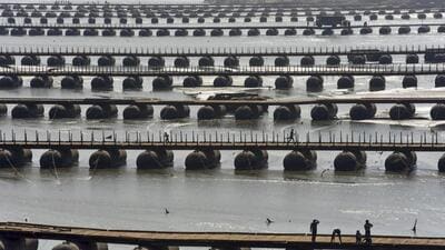 Workers construct temporary pontoon bridges over the Ganga as part of preparations for the Mahakumbh Mela 2025, in Prayagraj on Friday. (PTI PHOTO) Workers construct temporary pontoon bridges over the Ganga as part of preparations for the Mahakumbh Mela 2025, in Prayagraj on Friday. (PTI PHOTO)