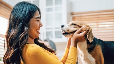 The study observed that when dogs and humans looked at each other, and when the dogs were stroked, their brain signals synchronised. The study observed that when dogs and humans looked at each other, and when the dogs were stroked, their brain signals synchronised.