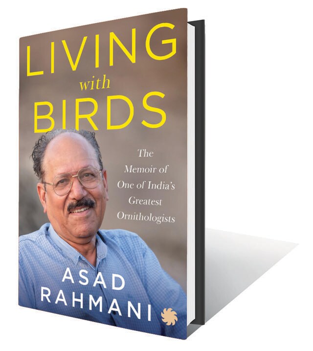 368pp, ₹599; Indian Pitta (About a life spent studying India’s birds and landscapes and fighting for endangered species) 368pp, ₹599; Indian Pitta (About a life spent studying India’s birds and landscapes and fighting for endangered species)