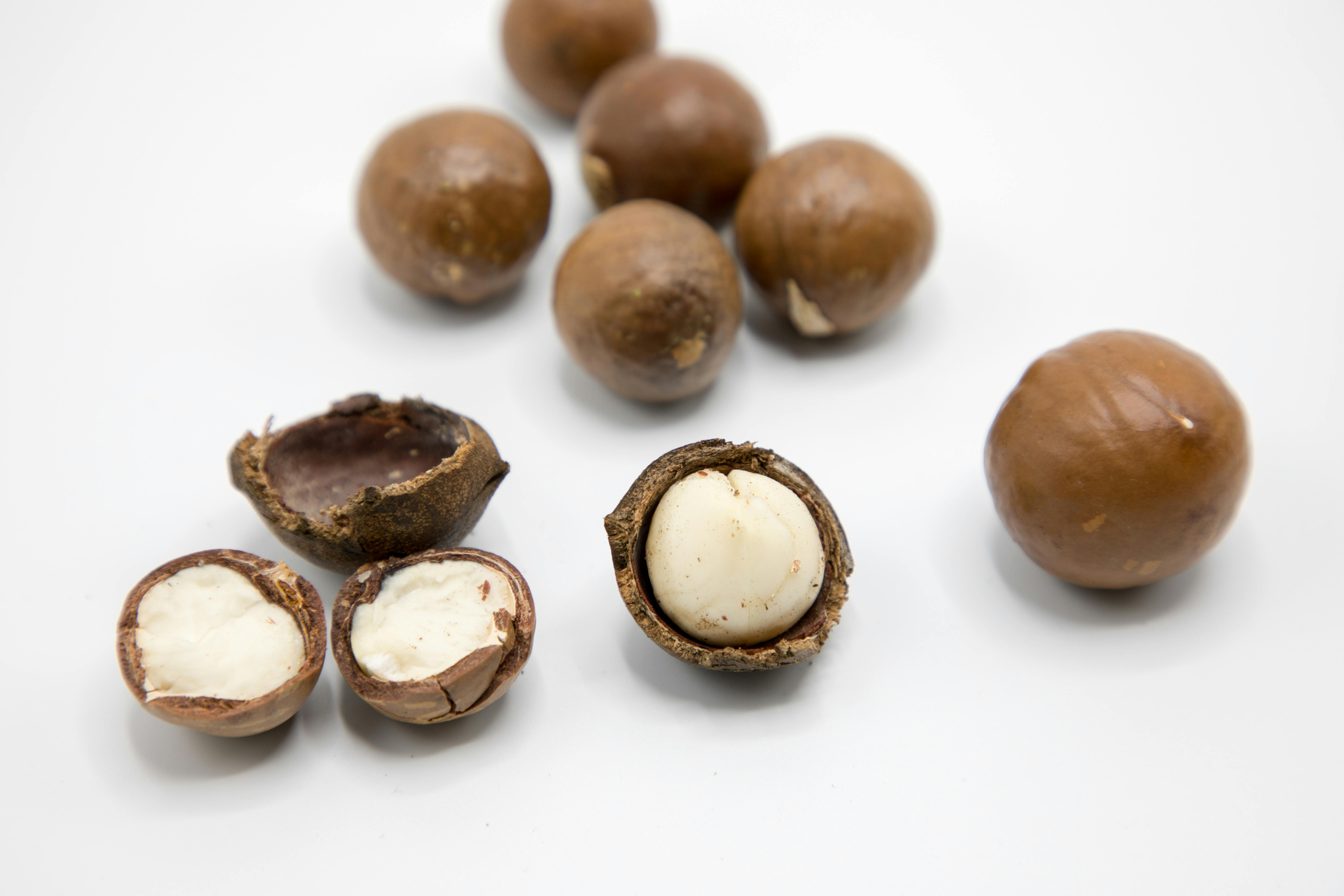 Macadamia nuts are packed with nutrition.(Pexels)
