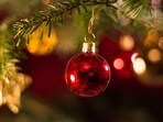 Bring home the winter warmth and cheer. Bring home the winter warmth and cheer.