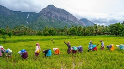 Field workers in Palakkad, Kerala. (Shutterstock)