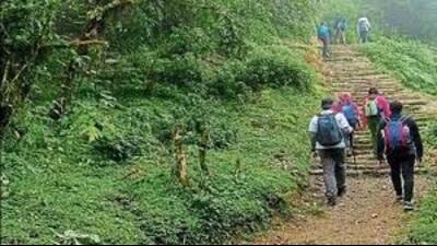 Forest areas in Uttar Pradesh are renowned for their natural beauty and rich biodiversity. (For Representation) Forest areas in Uttar Pradesh are renowned for their natural beauty and rich biodiversity. (For Representation)