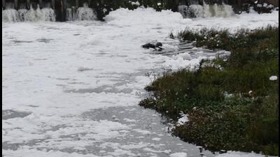 NGT has directed MPCB to review EDC calculated at ₹38.40 crore to be levied on Kolhapur Municipal Corporation in Panchganga River pollution issue. ((PIC FOR REPRESENTATION)) NGT has directed MPCB to review EDC calculated at ₹38.40 crore to be levied on Kolhapur Municipal Corporation in Panchganga River pollution issue. ((PIC FOR REPRESENTATION))